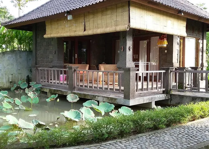 Lodge Natural 2 *