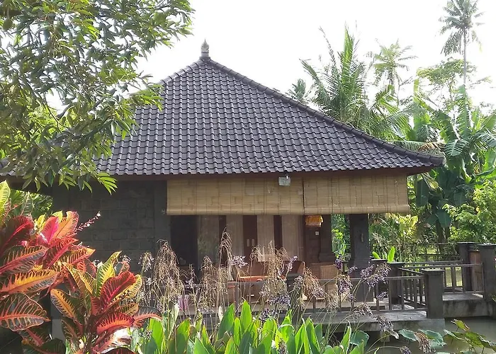 Lodge Natural 2