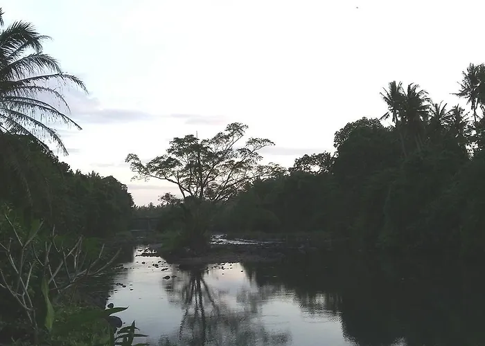Natural 2 * Selemadeg (Bali)