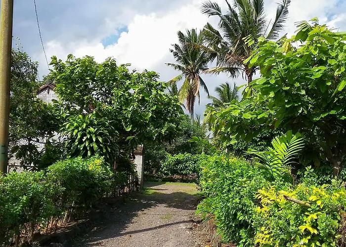 Lodge Natural 2 Selemadeg (Bali)