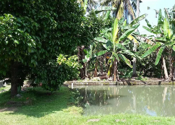 Natural 2